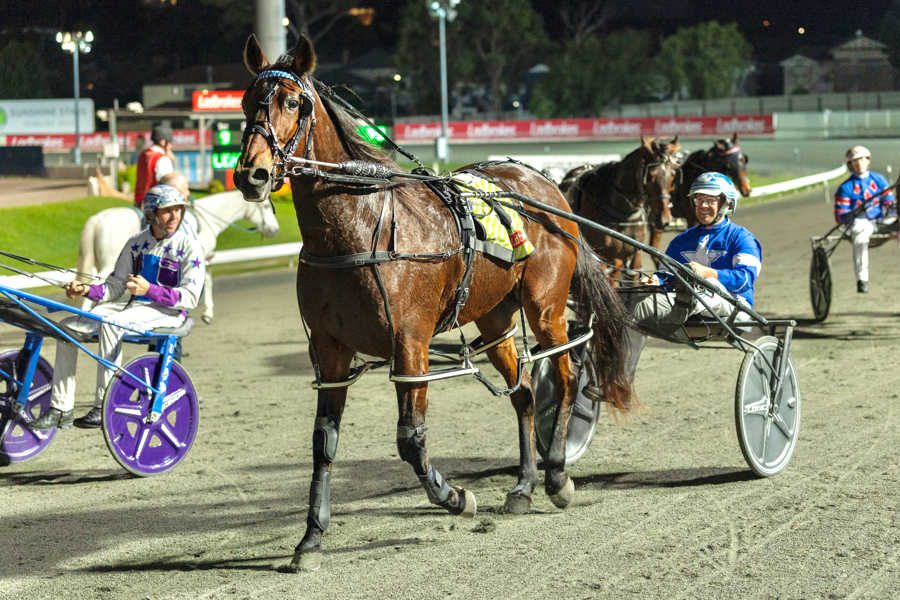 Turn It Up racing earlier in his career